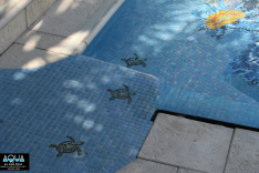 Sea turtle mosaics lead to shallow area