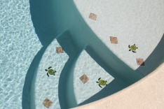 Sea turtle tile mosaics on pool stairs