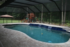 Free form pool and screen enclosure