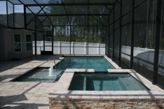 Modern pool by All Aqua Pools - Port Orange, Florida