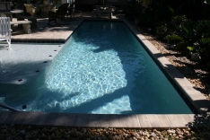 Modern lap pool with sun shelf